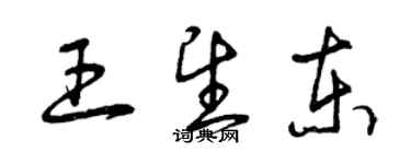 曾慶福王望東草書個性簽名怎么寫