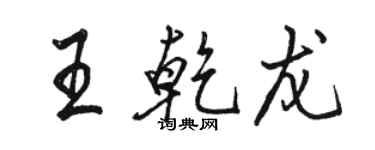 駱恆光王乾龍行書個性簽名怎么寫