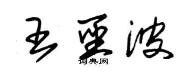 朱錫榮王聖波草書個性簽名怎么寫