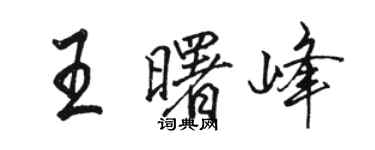 駱恆光王曙峰行書個性簽名怎么寫