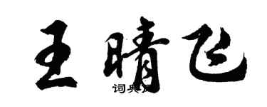 胡問遂王晴飛行書個性簽名怎么寫
