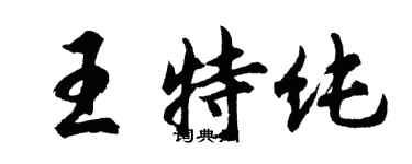 胡問遂王特純行書個性簽名怎么寫