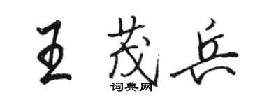 駱恆光王茂兵行書個性簽名怎么寫