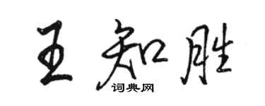 駱恆光王知勝行書個性簽名怎么寫
