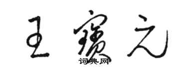 駱恆光王寶元草書個性簽名怎么寫