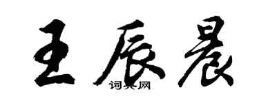 胡問遂王辰晨行書個性簽名怎么寫