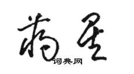 駱恆光蔣星草書個性簽名怎么寫