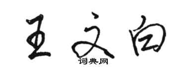 駱恆光王文白行書個性簽名怎么寫