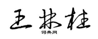 曾慶福王林柱草書個性簽名怎么寫