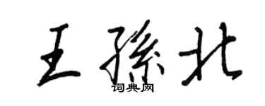 王正良王孫北行書個性簽名怎么寫