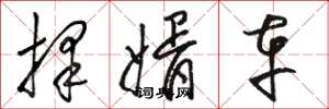 駱恆光擇婿車草書怎么寫