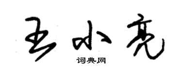 朱錫榮王小亮草書個性簽名怎么寫