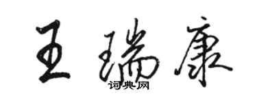 駱恆光王瑞康行書個性簽名怎么寫