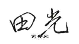 駱恆光田光行書個性簽名怎么寫