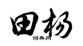 胡問遂田楊行書個性簽名怎么寫