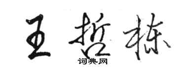 駱恆光王哲棟行書個性簽名怎么寫