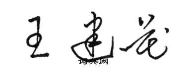 駱恆光王建花草書個性簽名怎么寫