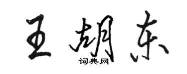 駱恆光王胡東行書個性簽名怎么寫