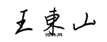 王正良王東山行書個性簽名怎么寫