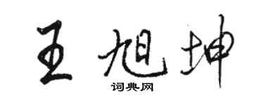 駱恆光王旭坤行書個性簽名怎么寫