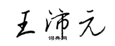 王正良王沛元行書個性簽名怎么寫