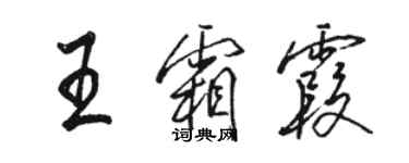 駱恆光王霜霞行書個性簽名怎么寫