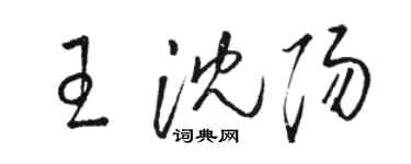 駱恆光王瀋陽草書個性簽名怎么寫