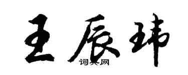 胡問遂王辰瑋行書個性簽名怎么寫
