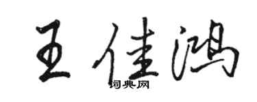 駱恆光王佳鴻行書個性簽名怎么寫
