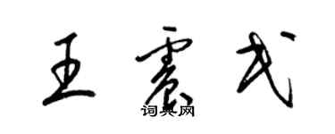 梁錦英王震民草書個性簽名怎么寫