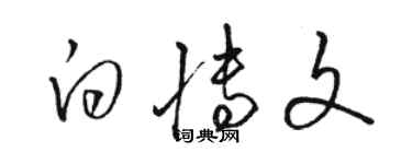 駱恆光白博文草書個性簽名怎么寫