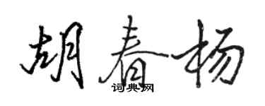 駱恆光胡春楊行書個性簽名怎么寫