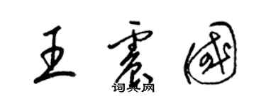 梁錦英王震國草書個性簽名怎么寫