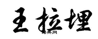 胡問遂王拉埋行書個性簽名怎么寫