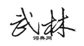 駱恆光武林行書個性簽名怎么寫