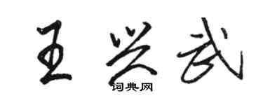 駱恆光王興武行書個性簽名怎么寫