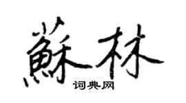 王正良蘇林行書個性簽名怎么寫