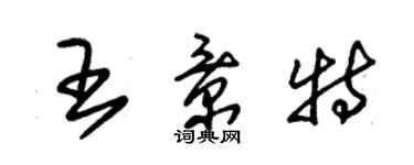 朱錫榮王景特草書個性簽名怎么寫