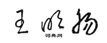 駱恆光王明腸草書個性簽名怎么寫