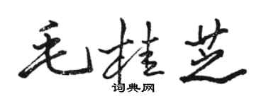 駱恆光毛桂芝行書個性簽名怎么寫