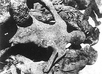 012516.jpg(22878bytes)