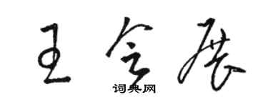 駱恆光王會展草書個性簽名怎么寫