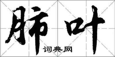 胡問遂肺葉行書怎么寫