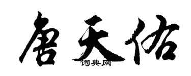 胡問遂唐天佑行書個性簽名怎么寫