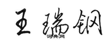 駱恆光王瑞鋼行書個性簽名怎么寫