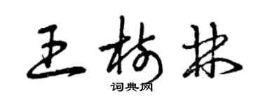 曾慶福王樹林草書個性簽名怎么寫