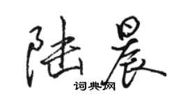 駱恆光陸晨行書個性簽名怎么寫