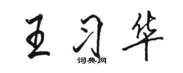 駱恆光王習華行書個性簽名怎么寫