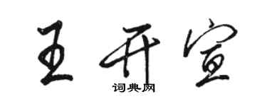 駱恆光王開宣行書個性簽名怎么寫