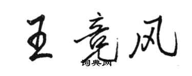 駱恆光王競風行書個性簽名怎么寫
